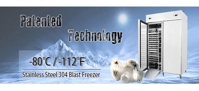 Commercial Deli Auto Defrost Fresh Meat Cooler Refrigerator Fridge