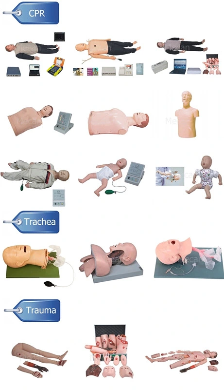 Medical Training Model Nursing Training Adult CPR Manikin Emergency Training