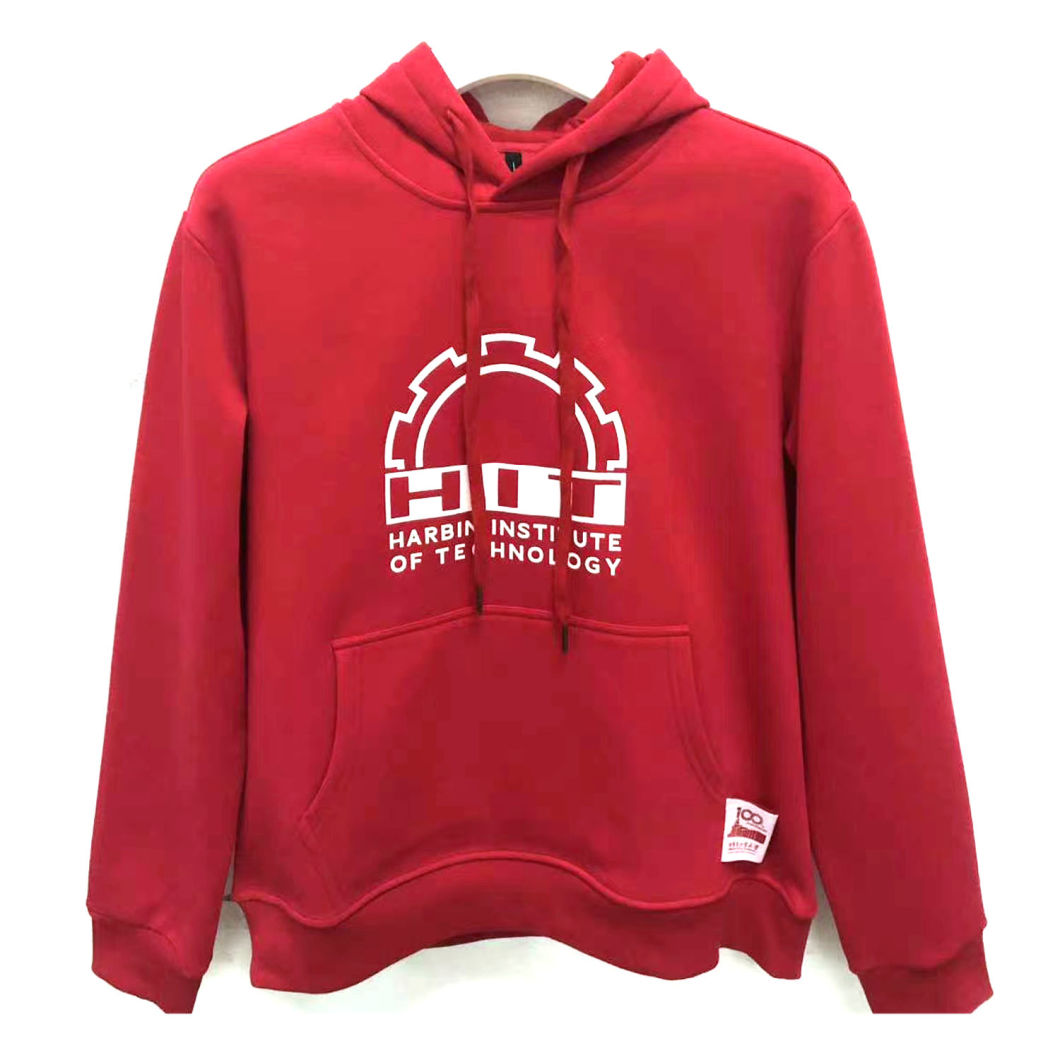 Oversized Woman's Hoodie Sweat Shirt for Woman's Sweaters Woman's Es20201031s-Wy-49