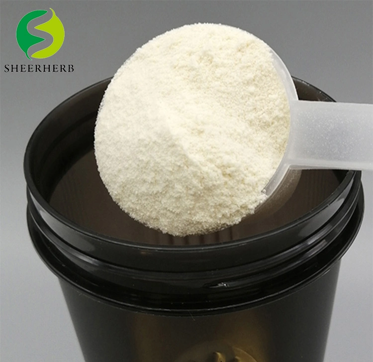 OEM Customized Private Brand Sports Drink Sports Protein Supplement Whey Protein Powder OEM