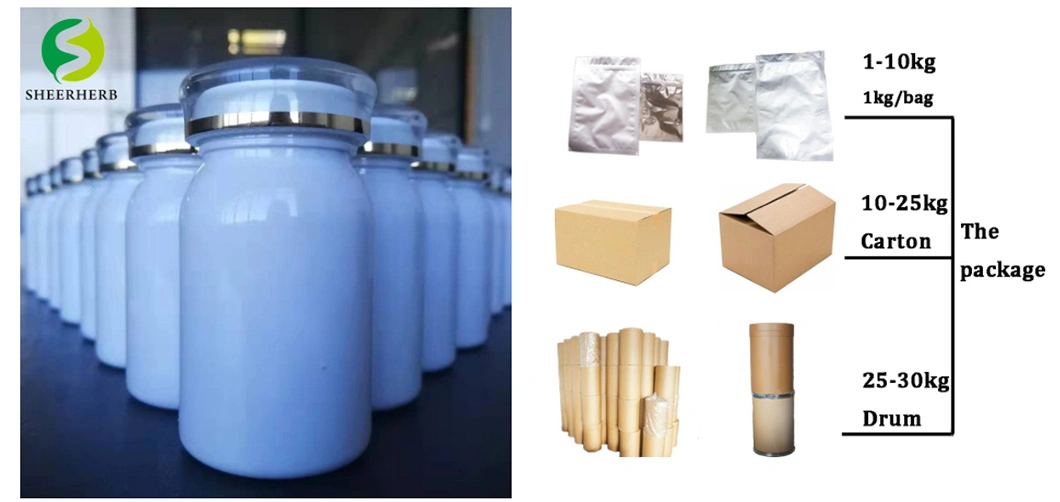 OEM Customized Private Brand Sports Drink Sports Protein Supplement Whey Protein Powder OEM