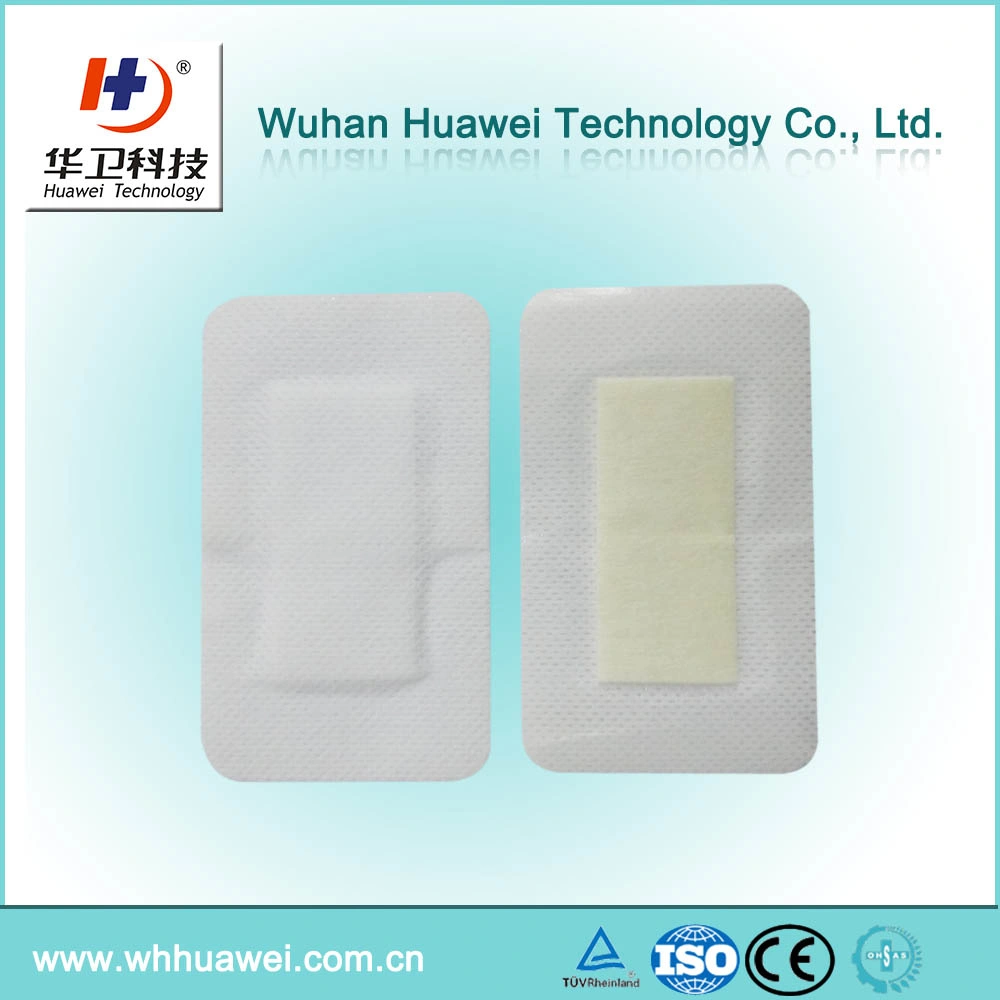 Water-Proof Self-Adhesive Advanced Chitosan Wound Dressing with Pad