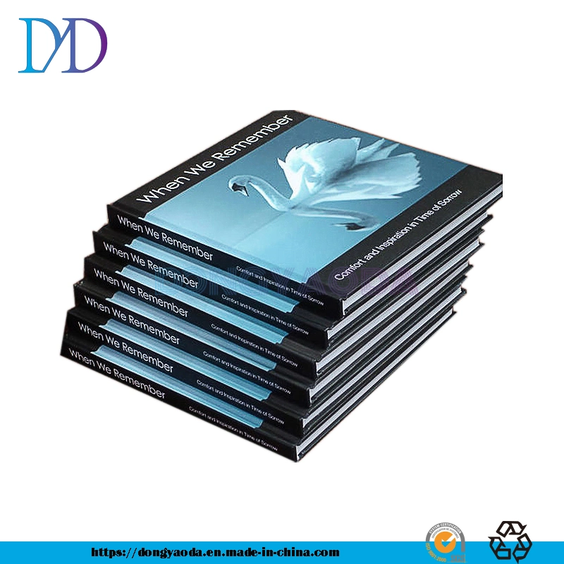 Glossy Lamination Promotion Magazine/Catalogue/Booklet Printing, A4 Brochure