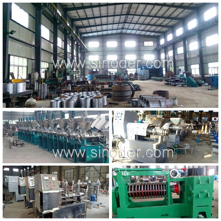 Cotton Seed Oil Extraction Equipment Screw Oil Press Machine Cooking Oil Making Plant Peanut Oil Mill