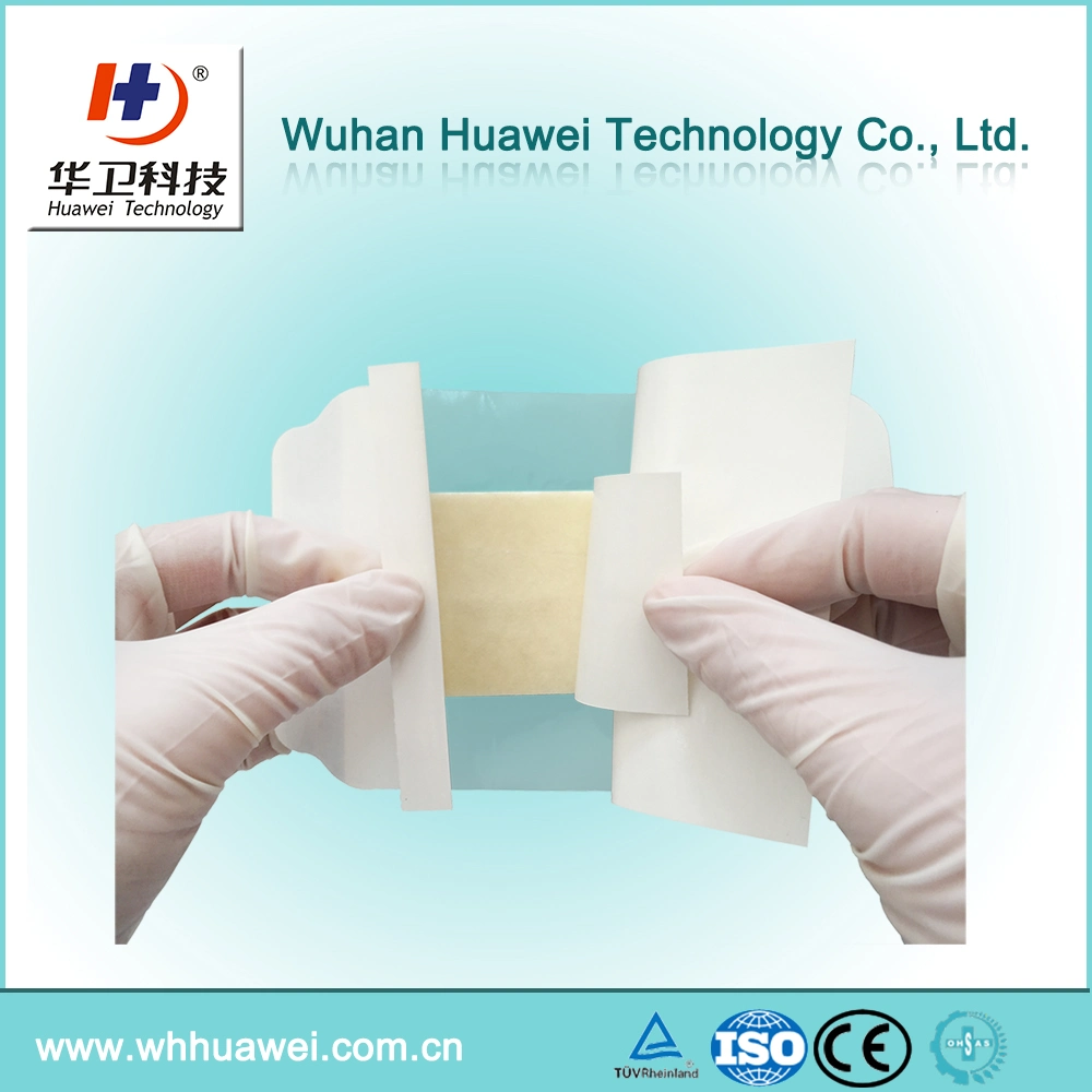 Water-Proof Self-Adhesive Advanced Chitosan Wound Dressing with Pad
