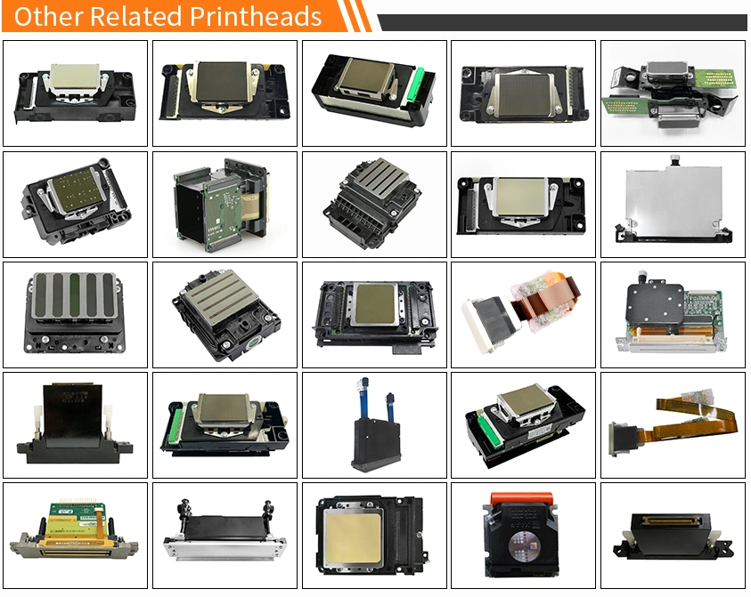 Unlcoked F186000 Printhead Dx5 for Eco Solvent Printer for All-Win Xuli Eco Solvent Printer