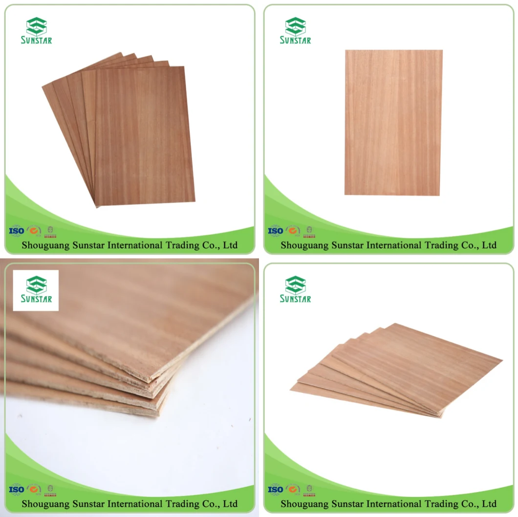 High Glossy Natural Wood Veneer High Glossy MDF for Decorative