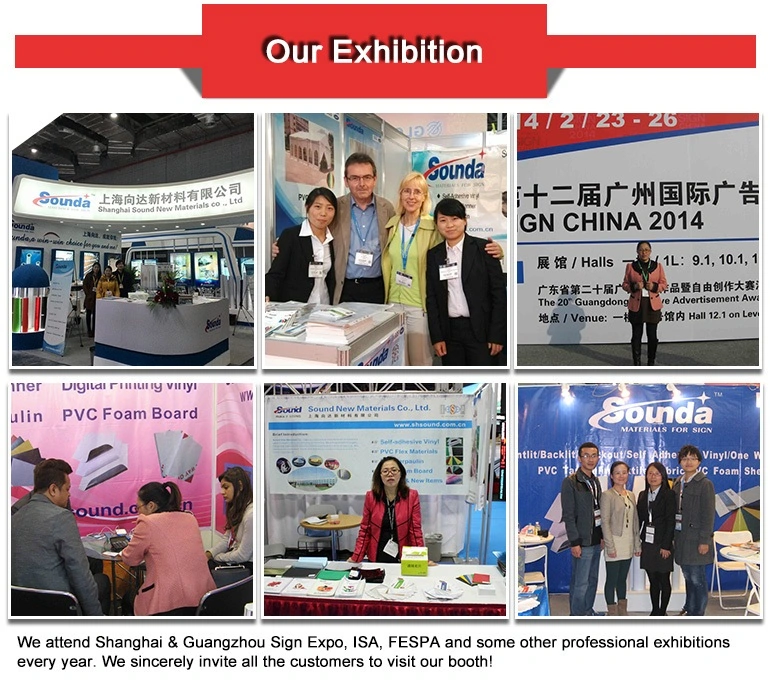Premium Supplier for 440g Backlit PVC Flex Banner From China