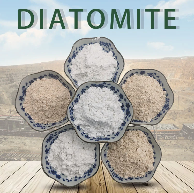HGH Quality Diatomaceous Earth Diatomite Powder for Paint/Coating