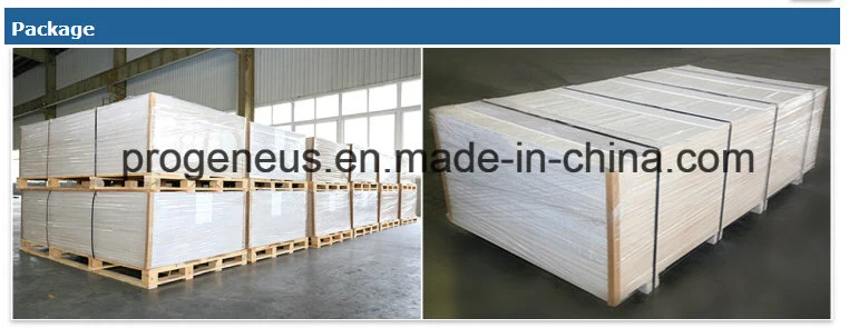 Progeneus Waterproof Fiber Cement Panel Cement Sheet