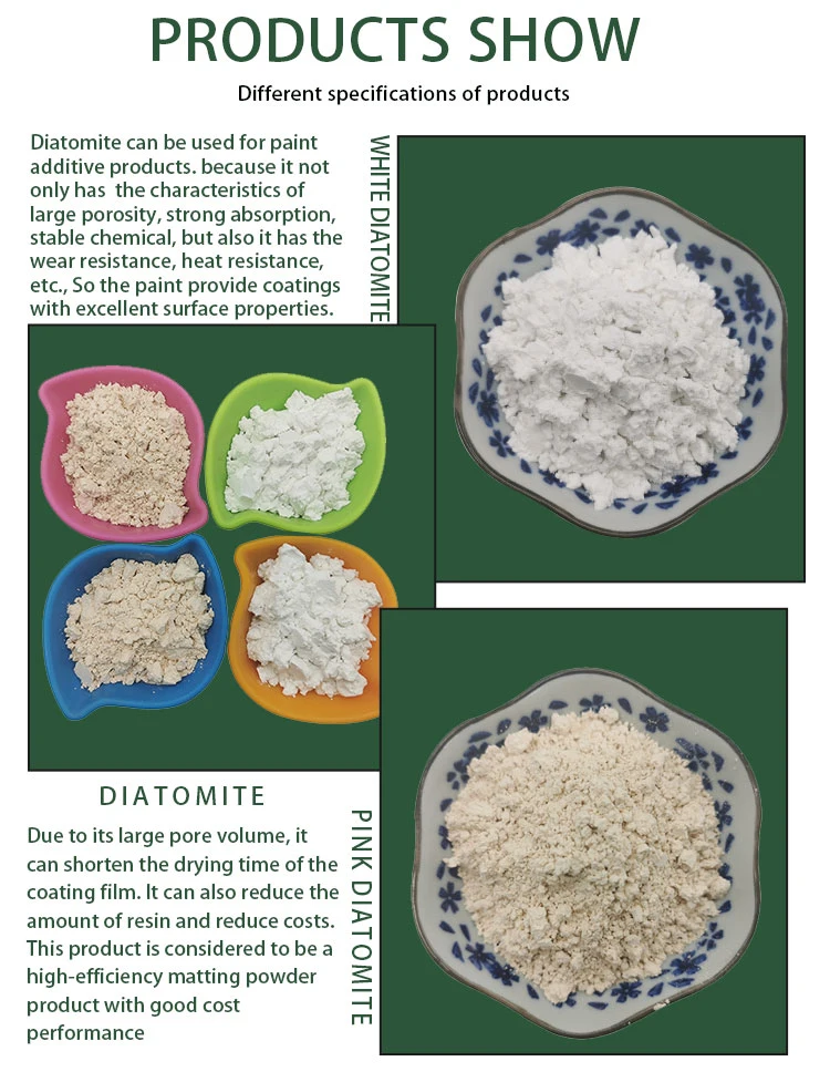 HGH Quality Diatomaceous Earth Diatomite Powder for Paint/Coating