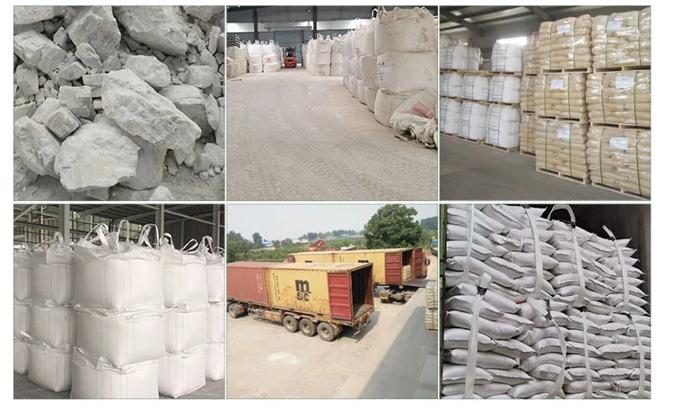 2020 Hot Sale Diatomite Diatomaceous Earth Powder Filter for Coating