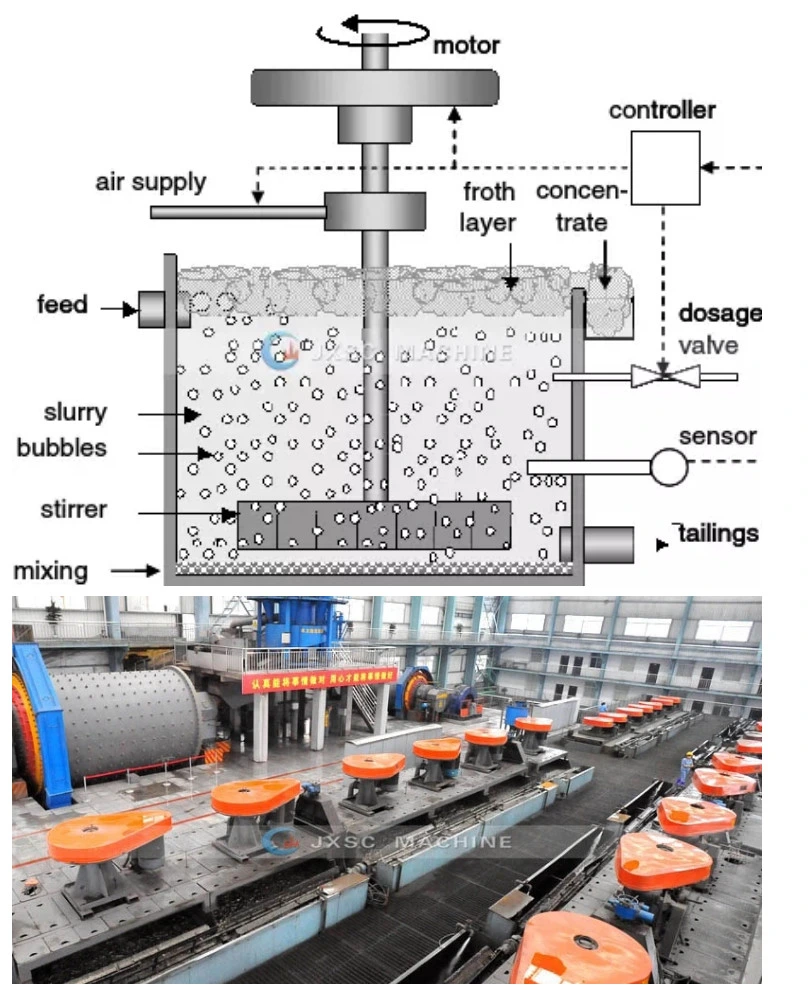 Iran Copper Ore Flotation Machine Lead Zinc Separation Equipment