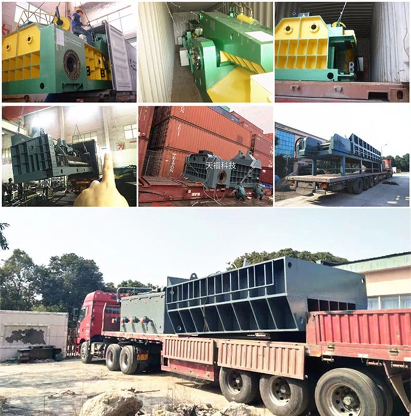 TF China Manufacture Q43-2500 Angle Iron Steel Scrap Shear Machine