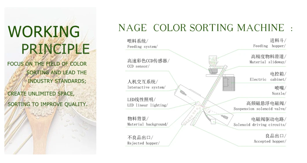 Cereal Nuts Rice Color Sorter Machine Wheat Rice Color Sorter Rice Color Sorting Machine