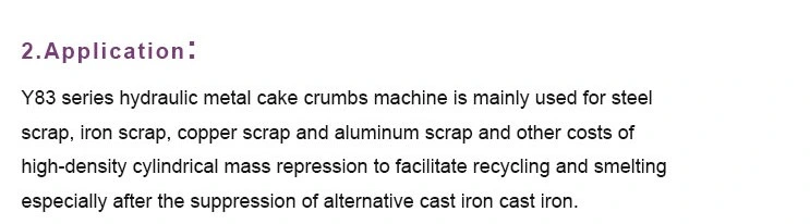 Scrap Metal Chip Recycling Briquette Machine for Iron/Aluminum/Steel/Copper Scrap
