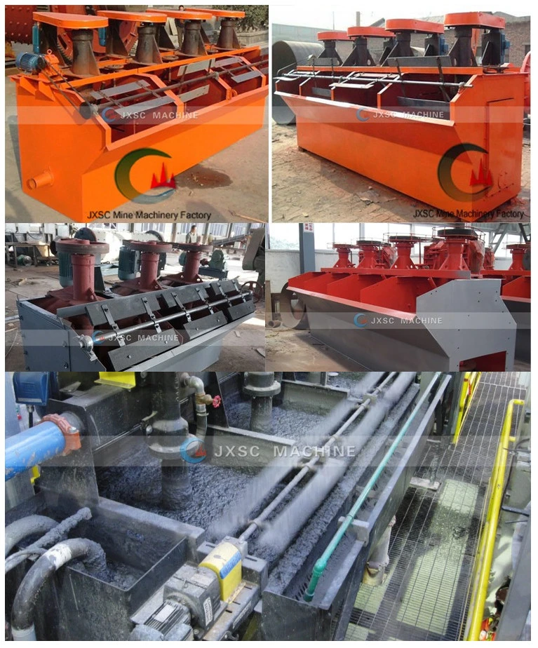 Iran Copper Ore Flotation Machine Lead Zinc Separation Equipment