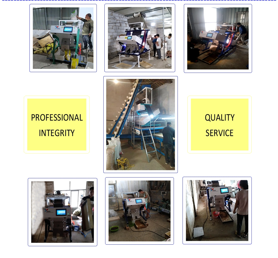 Copper and Aluminum Metal Color Sorting Machine for Sorting Colours