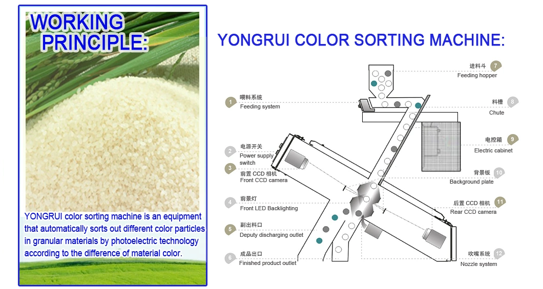 Indian Rice Mini Rice Color Sorter Rice Stone Sorting Machine