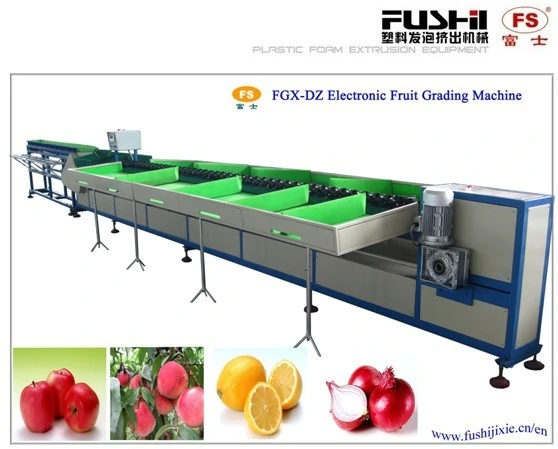 Fruit Grading and Sorting Lines Fruit Washing and Sorting Machine for Sorting Vegetables and Fruits