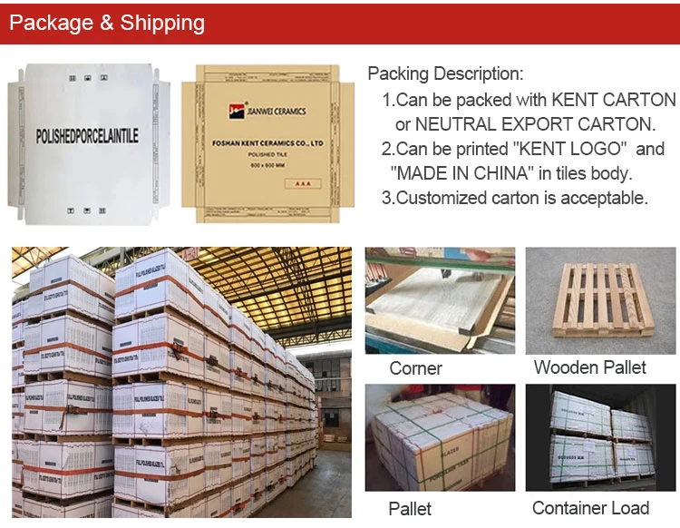600*600mm Ceramics Rustic Matt Surface Porcelain Glazed Anti-Slip Floor Tile From Foshan