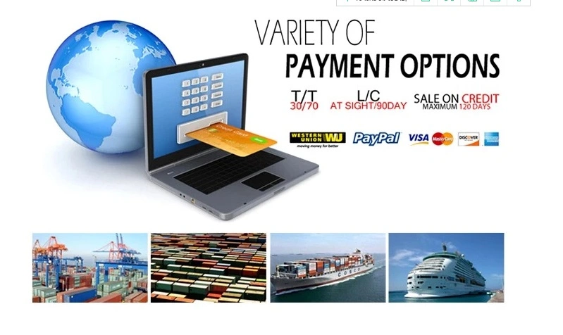 Printing Service, Promotion Catalog, Booklet, Brochure, Book, Flyer Printing