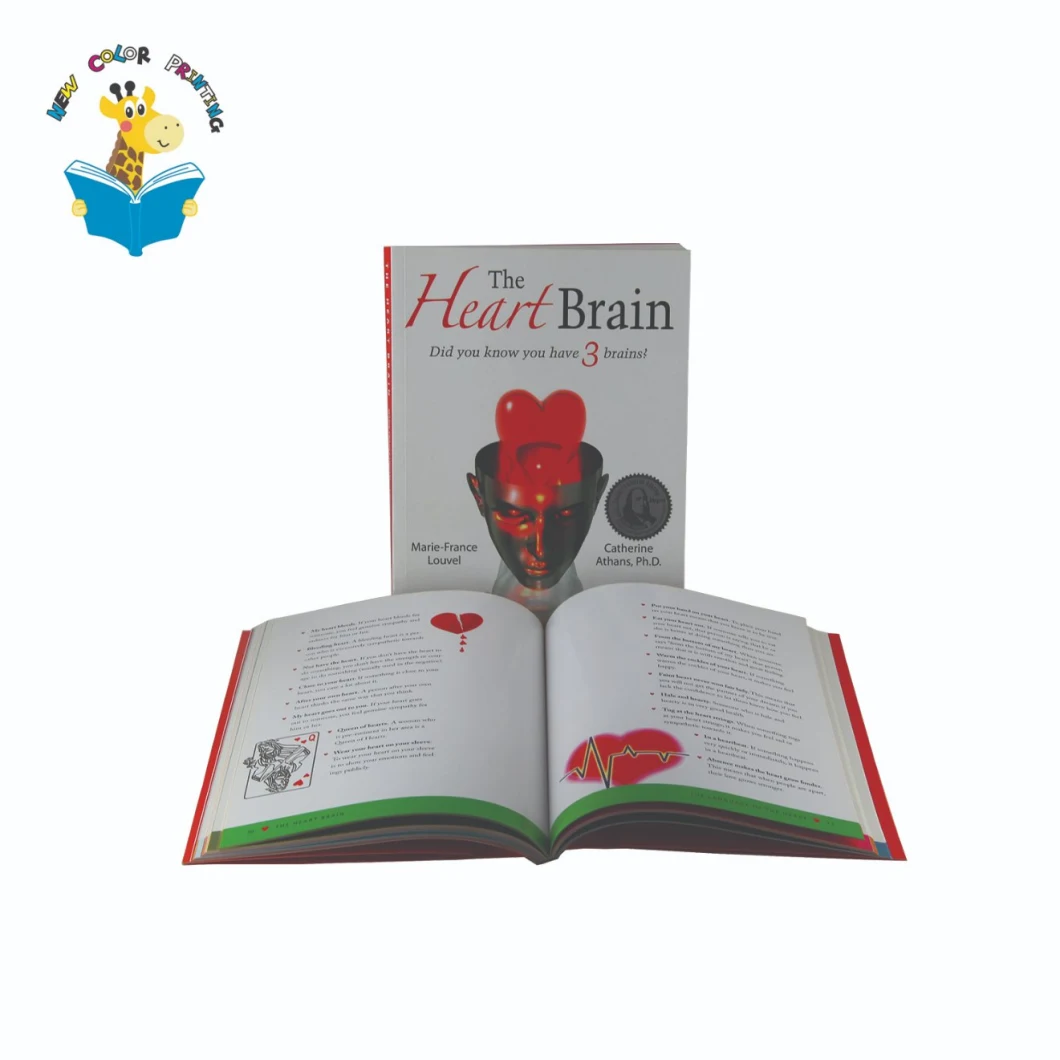 Brochure Softcover Book Printing with Flaps