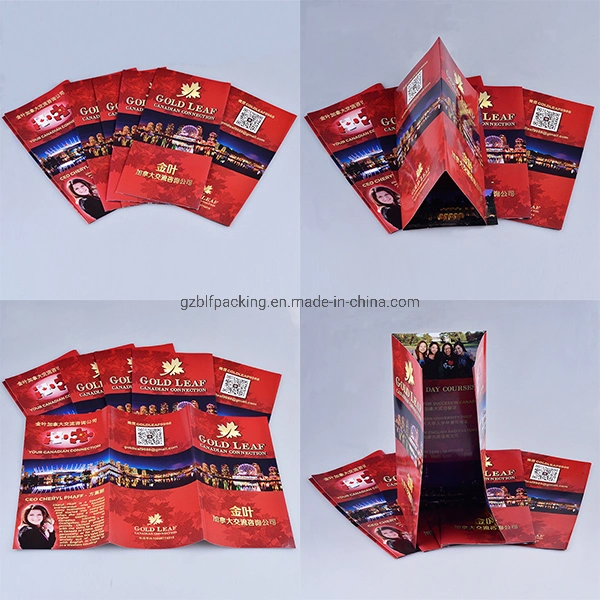 Customized Paper Printing Color Flyer Printing