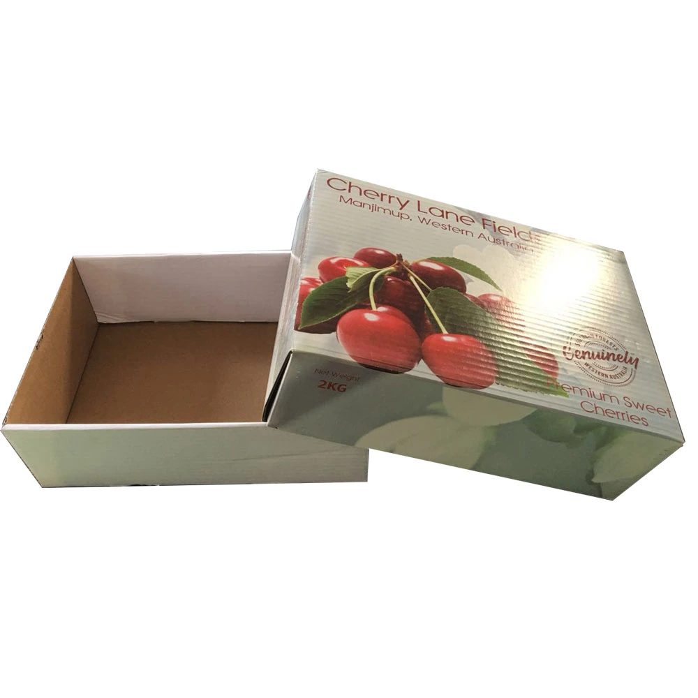 Printing Folding Corrugated Fruit Food Paper Carton Box