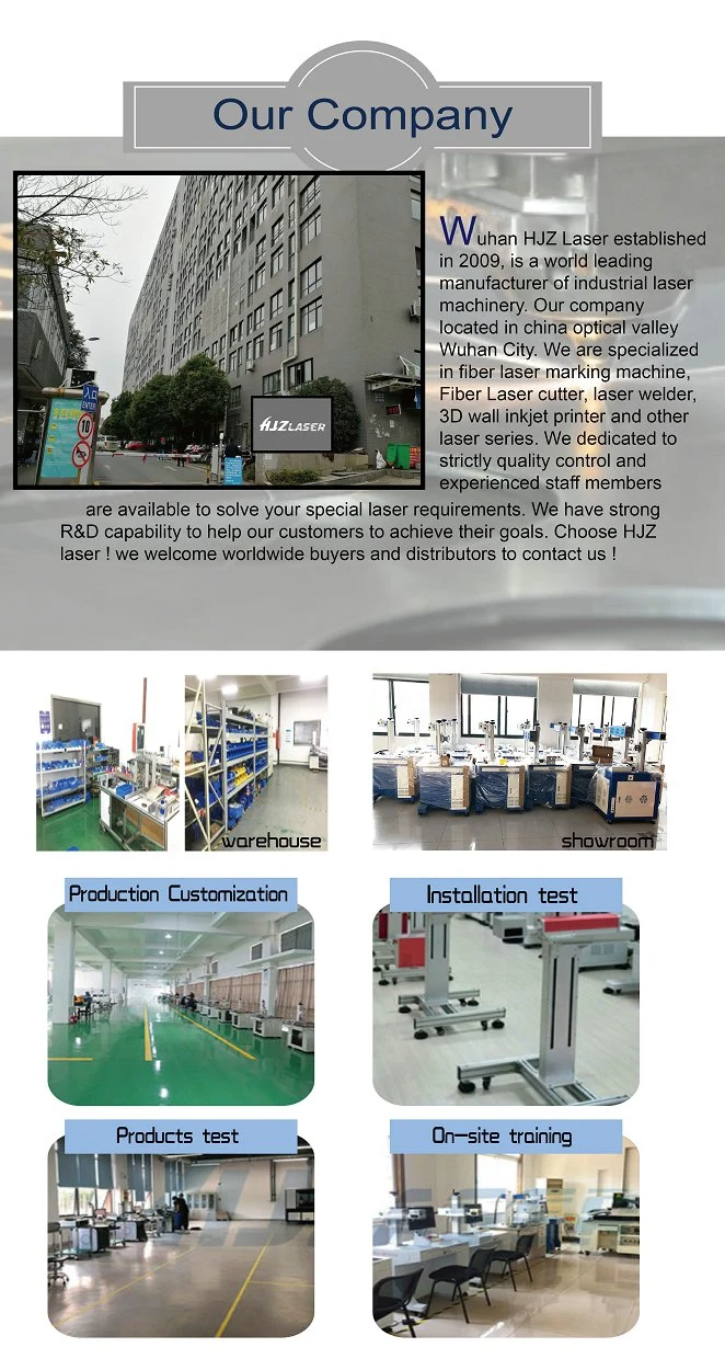 Automatic CO2/Fiber Flying Laser Engraving/Package Printing Machine for Labeling/Coding