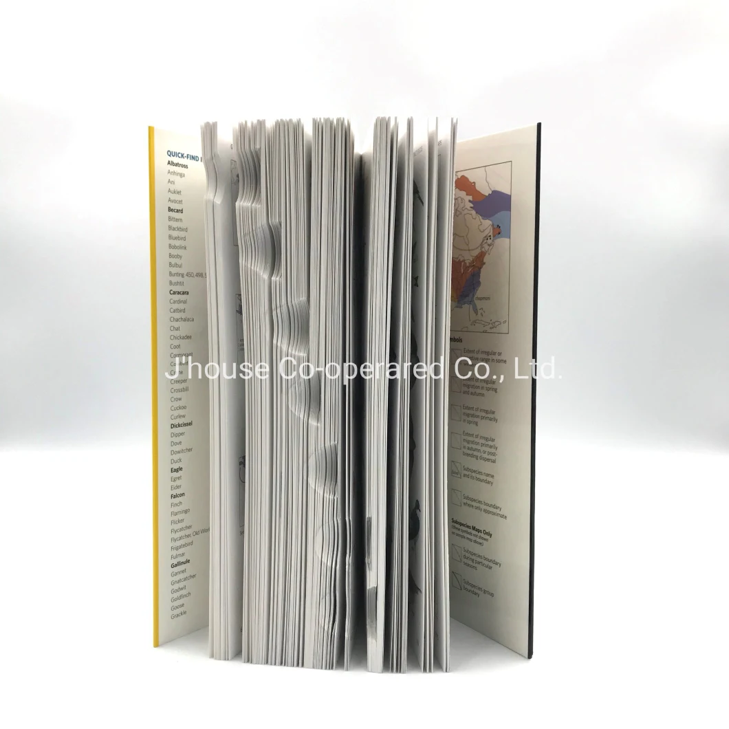 Customized Animal Catalog Hardcover Book, Soft Cover Book, Full Color Printing, with Best Price