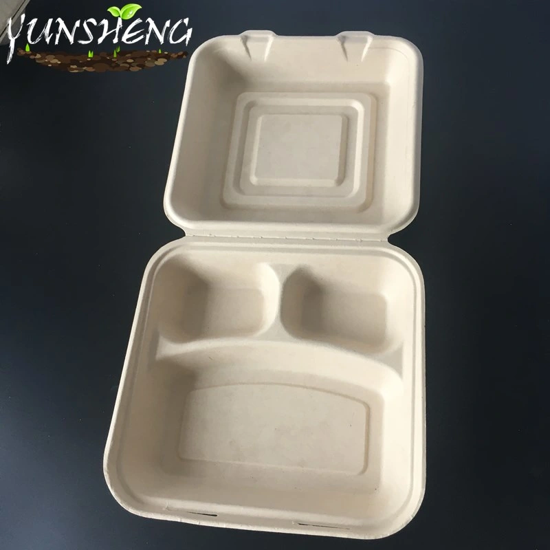 Biodegradable Disposable Paper Boxes with Clamshell for Fastfood/Compostable Customized Bamboo or Sugarcane Pulp Paper Box