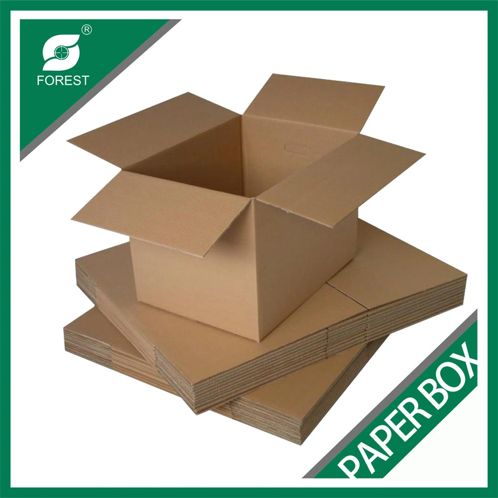 Recyclable Custom Logo Printing Corrugated Cardboard Mailer Box Packaging Package Paper Box
