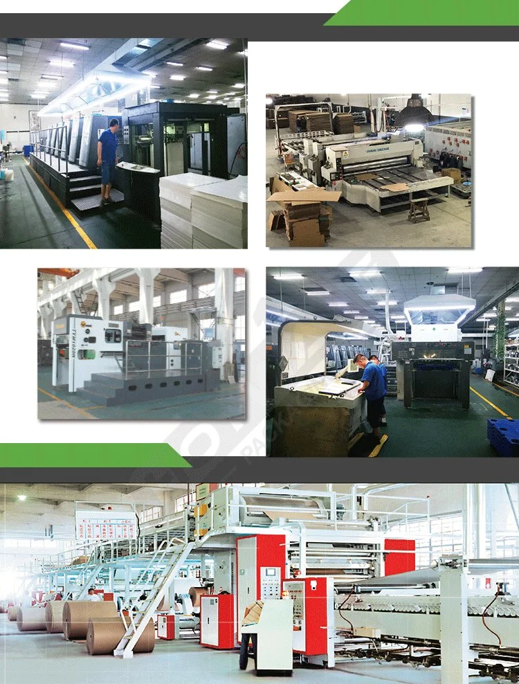 Customized Brochure Printing Catalogue Printing Booklet Printing