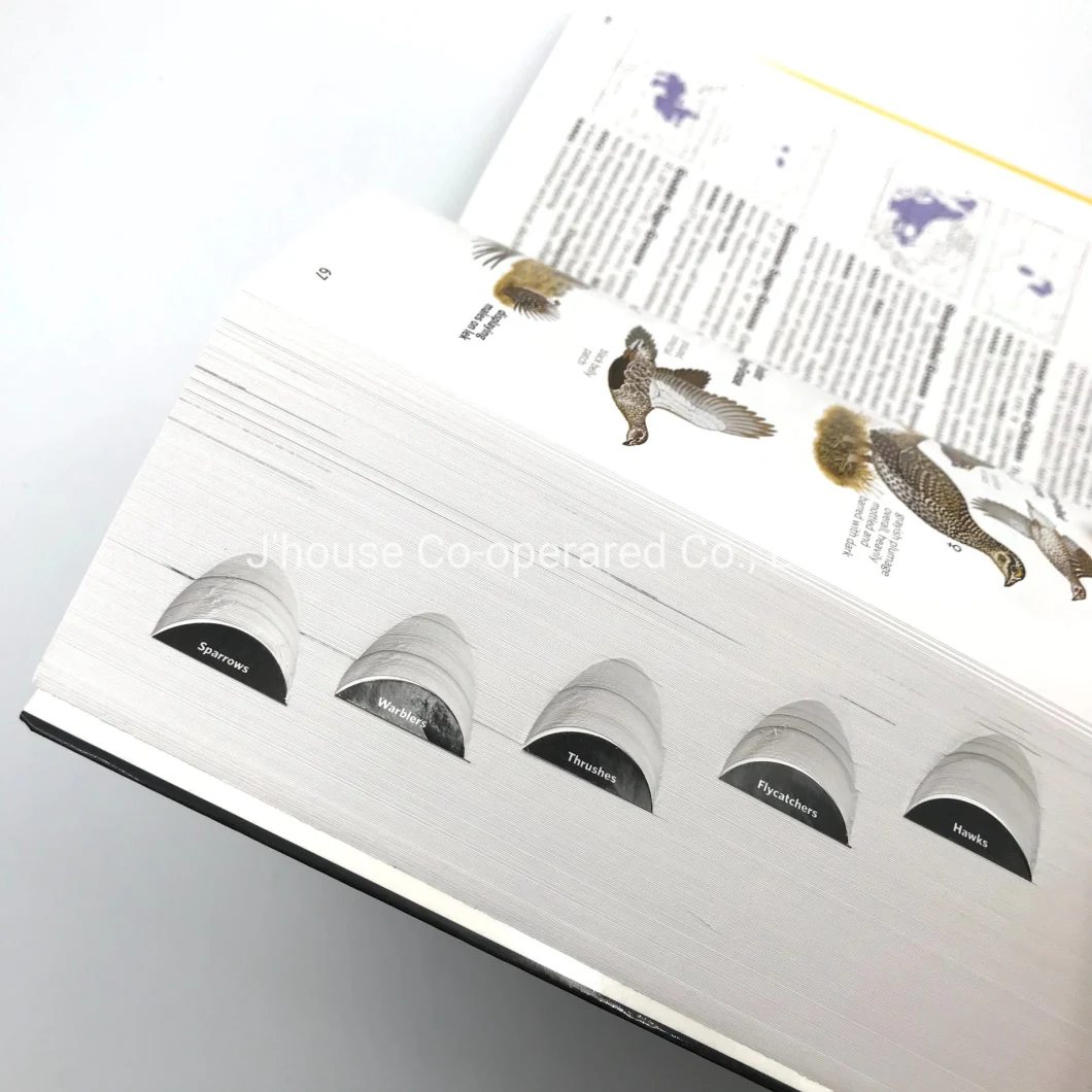 Customized Animal Catalog Hardcover Book, Soft Cover Book, Full Color Printing, with Best Price