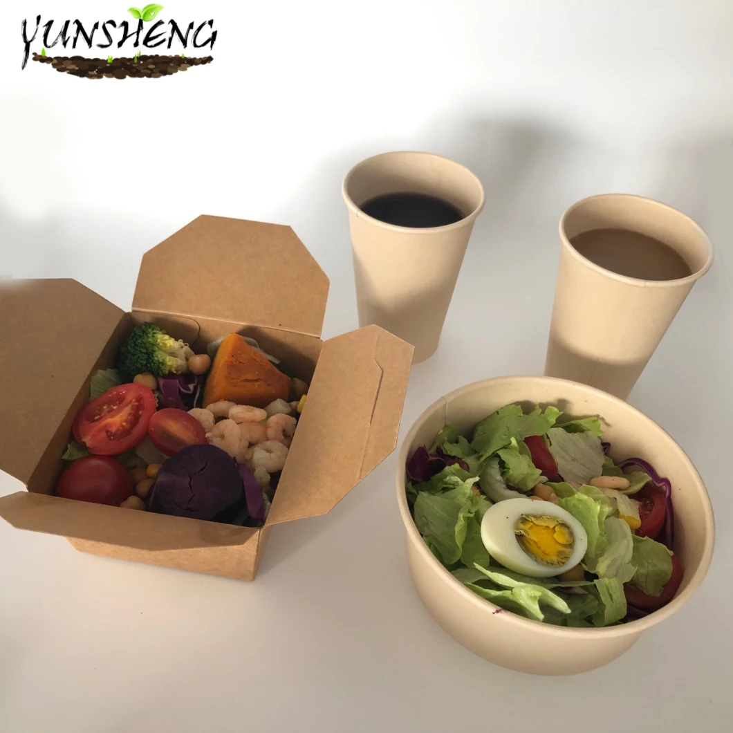 Disposable Kraft Paper Food Container for Fast Food Bamboo Pulp Paper Boxes
