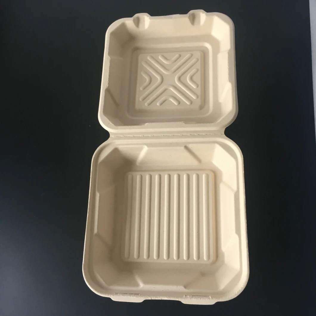 Biodegradable Disposable Paper Boxes with Clamshell for Fastfood/Compostable Customized Bamboo or Sugarcane Pulp Paper Box