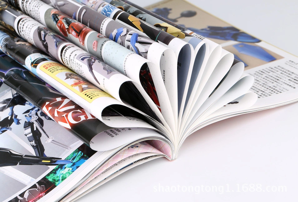 Promotion Magazine/Flyer/Leaflet/Manual/Catalogue/Booklet Printing/Cheap Brochure