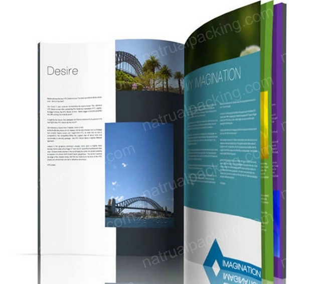 Custom Printing Brochure, Magazine, Coloring Book, Brochure Printing in China