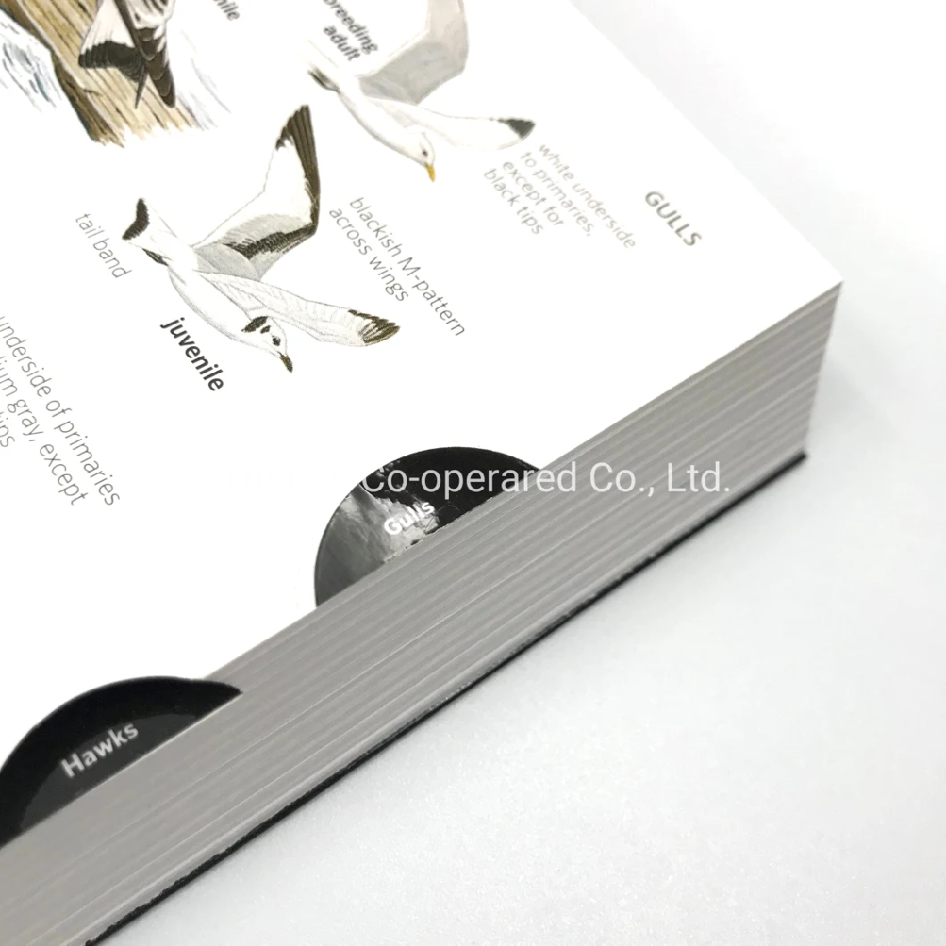 Customized Animal Catalog Hardcover Book, Soft Cover Book, Full Color Printing, with Best Price