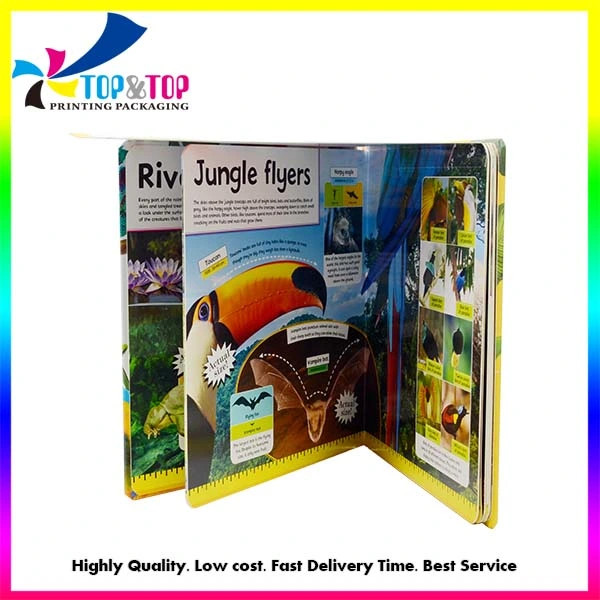 High Quality Embossing Animal Board Book Printing for Children