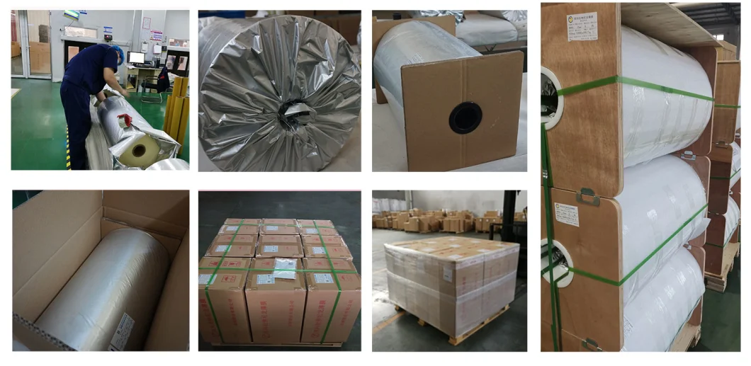 15um/25um/30um BOPA Films for Rice 10kg Package Printing and Lamination