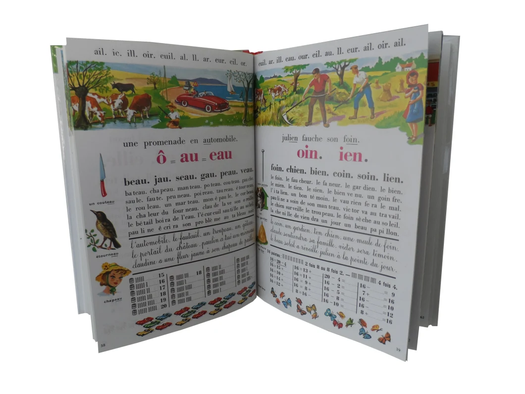 Top Quality Children Book Printing, Custom
