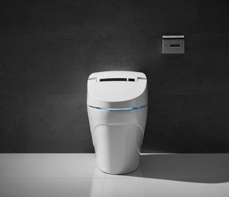 Factory Supply Smart Bathroom Wc Siphonic One Piece Intelligent Smart Toilet