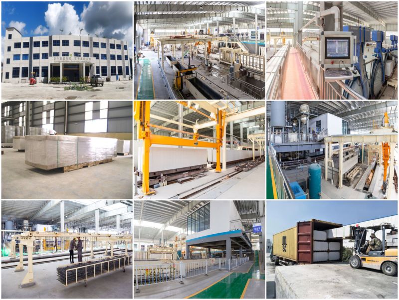 External and Internal Functionality Wall Concrete (ALC/AAC) Building Block Production Line