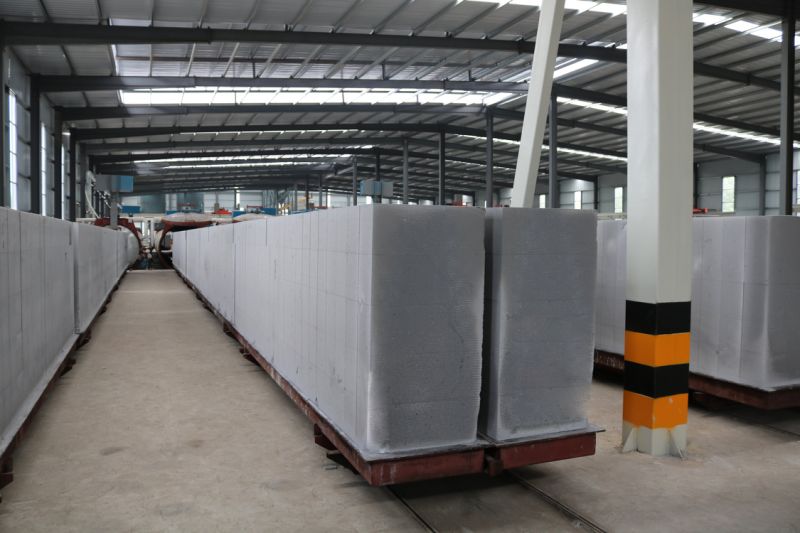 Autoclaved Aerated Concrete AAC Foam Concrete Block Production Line
