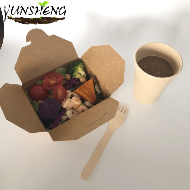 Eco Friendly Food Container Biodegradable Eco Friendly Disposable Carryout Plates