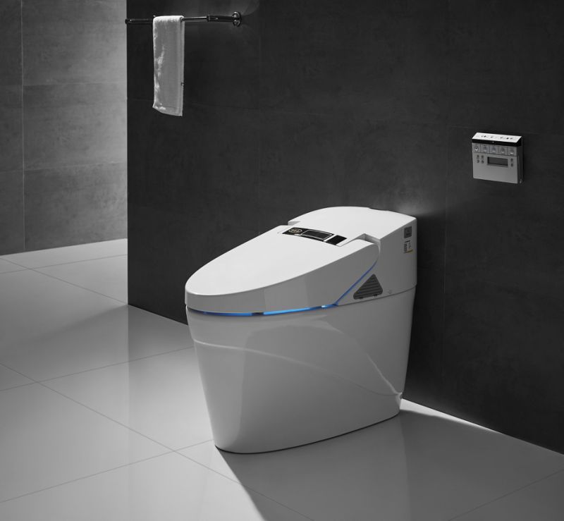 Factory Supply Smart Bathroom Wc Siphonic One Piece Intelligent Smart Toilet