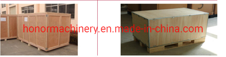 China Vacuum Packing/Packaging Machine for Brick Type Bag