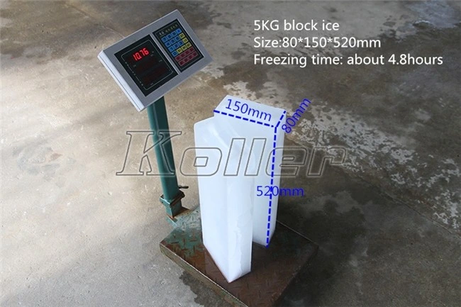 2000kg Containerized Ice Block Maker Machine with Cold Storage Room